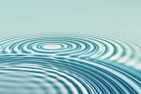 Casino All In Ondersteuning